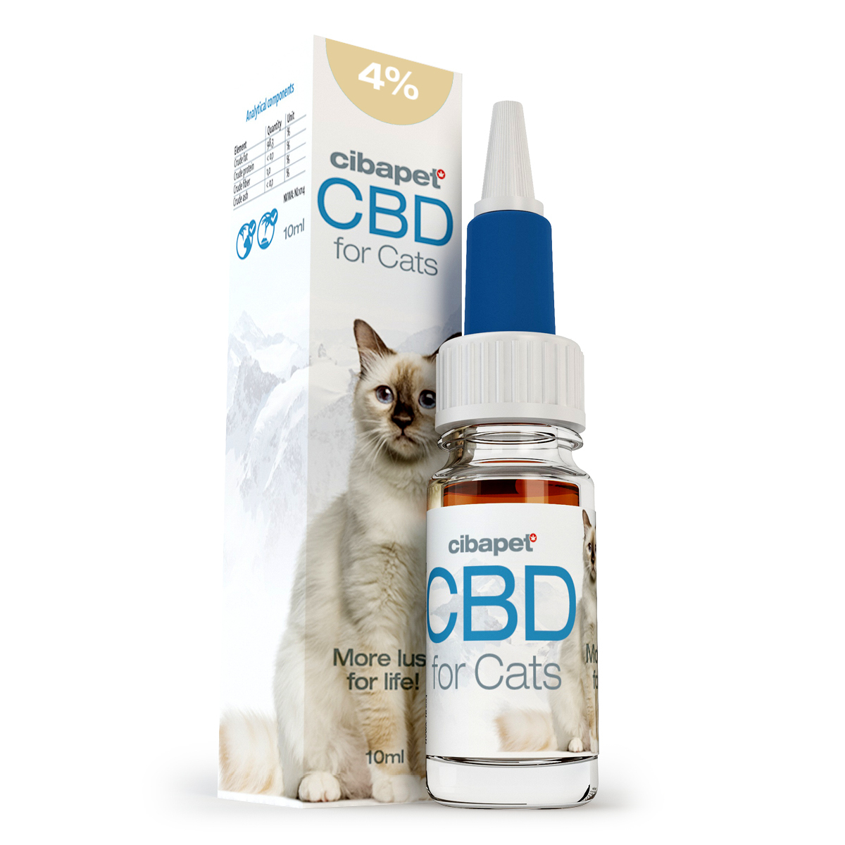 7 jours Pill Box Organisateur avec Cats ou les chiens pour la médecine compléments /& Vitamines
