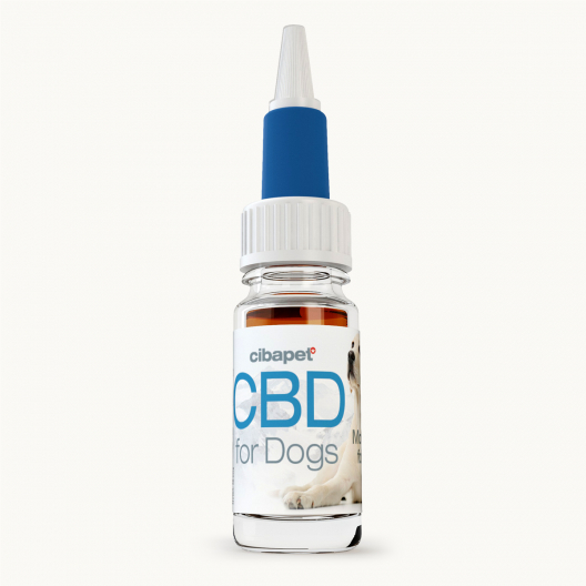 Huile de CBD 4% Pour Chiens