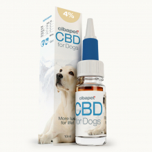 CBD : quand et comment l'utiliser chez le chien ? - Santévet