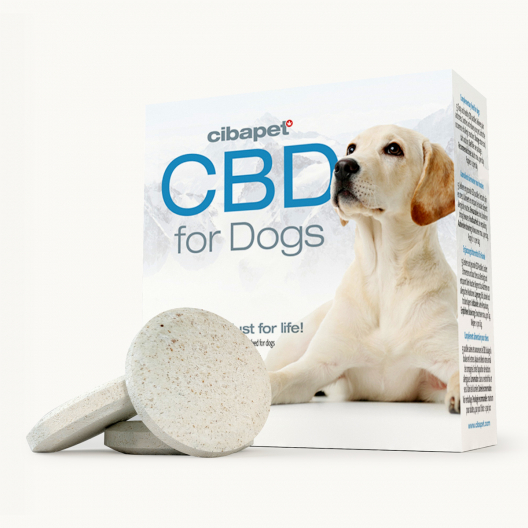 Pastilles De CBD Pour Chiens