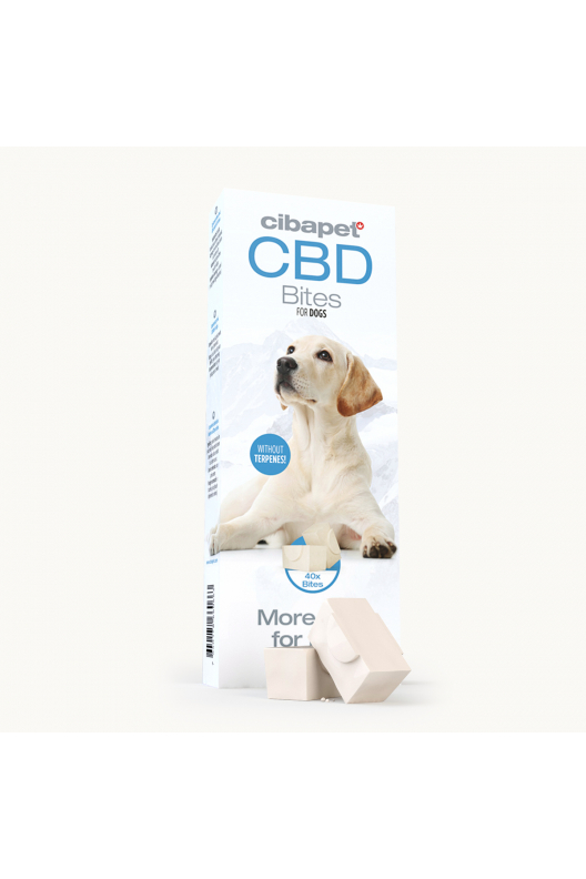 Bouchées pour chiens au CBD Bouchées pour chiens au CBD