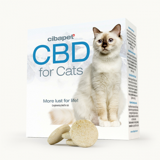 Pastilles De CBD Pour Chats