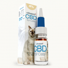 Huile De CBD 4 % Pour Chats