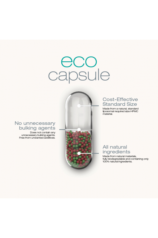 Fer + Vitamine C Fer + Vitamine C