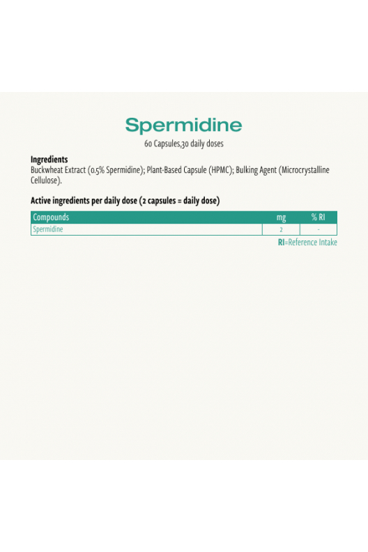 Spermidine Spermidine