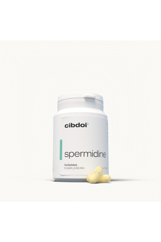 Spermidine Spermidine
