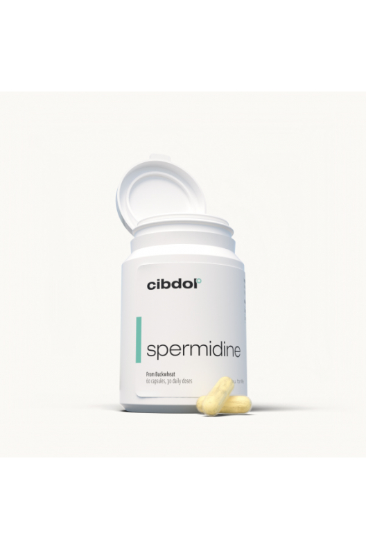 Spermidine Spermidine