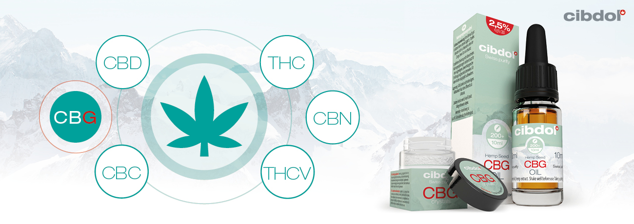 Qu'est-ce que le CBG (Cannabigerol) ?