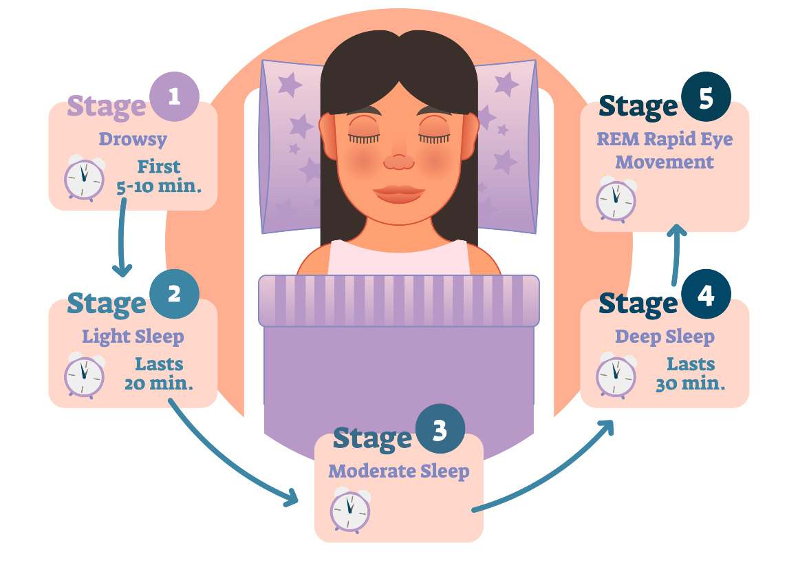 Conditions qui améliorent ou perturbent la progression naturelle des cycles de sommeil