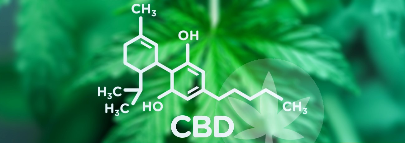 Le CBD peut-il faire planer