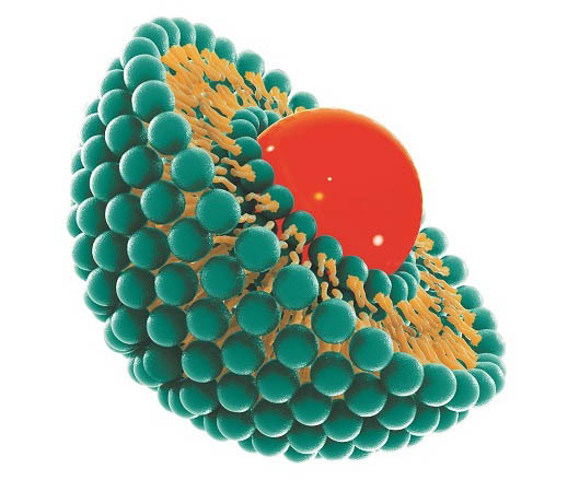 QUE SONT LES LIPOSOMES ?