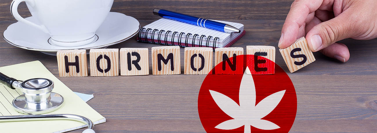 Le CBD affecte-t-il vos hormones ?