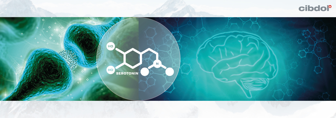 Le CBD Est-T-Il Psychoactif ?