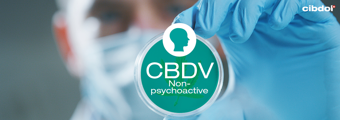 Qu'est-ce que le CBDV (Cannabidivarine) ?