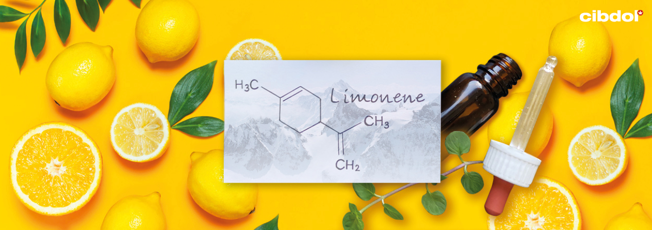 Qu’est-ce que le limonène ?