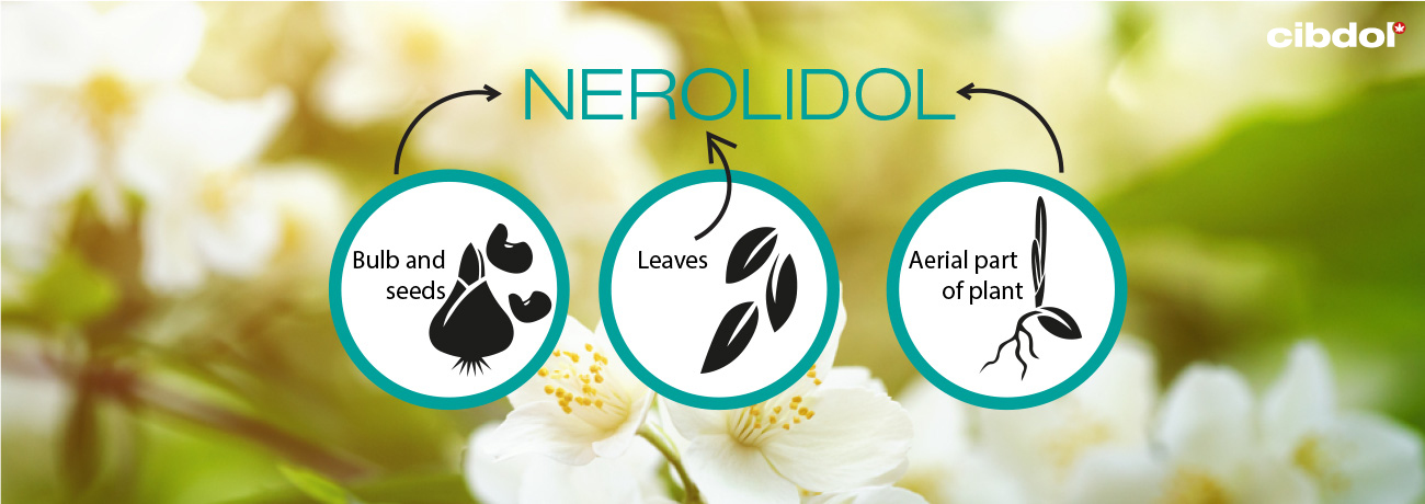 Qu’est-ce que le nérolidol ?
