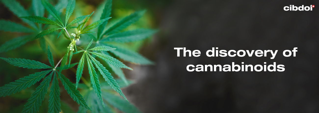 Quand ont été découverts les cannabinoïdes ?