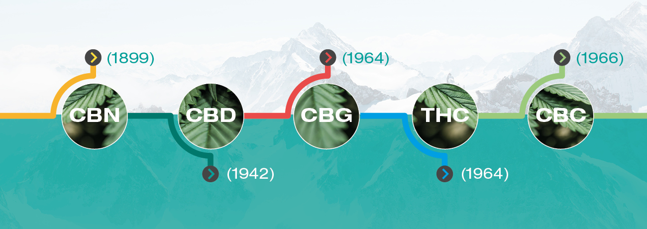 Quand ont été découverts les cannabinoïdes ?