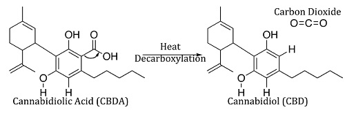 structure cbd