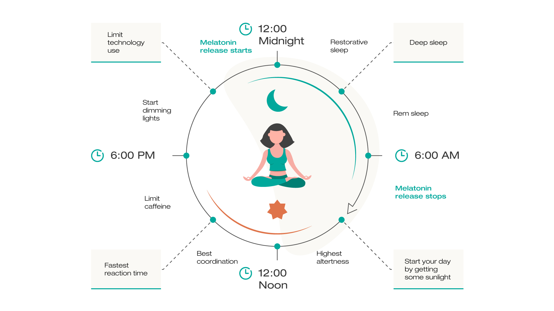 Rythme Circadien infographic