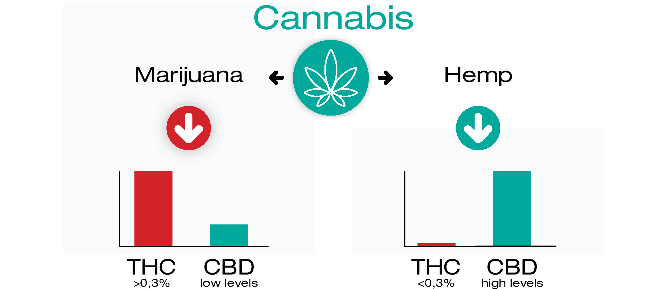 Le CBD est-il calmant ?