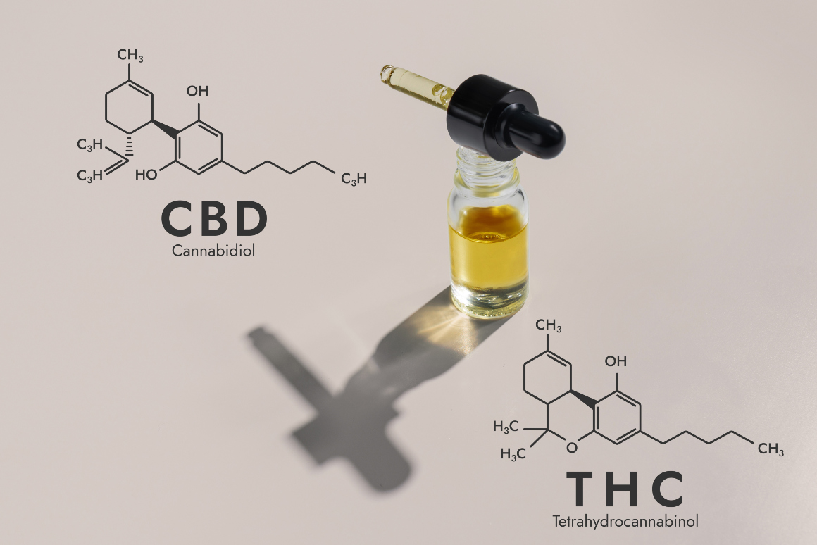 Quel type de chanvre dois-je utiliser pour fabriquer de l'huile de CBD ?