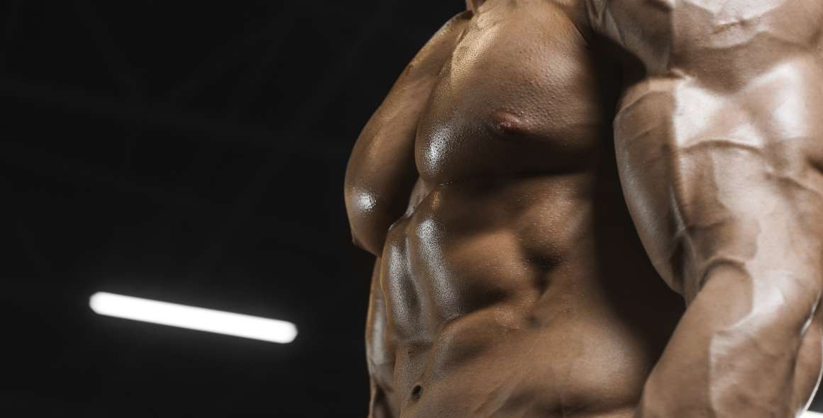 Les cordyceps développent-ils les muscles ?