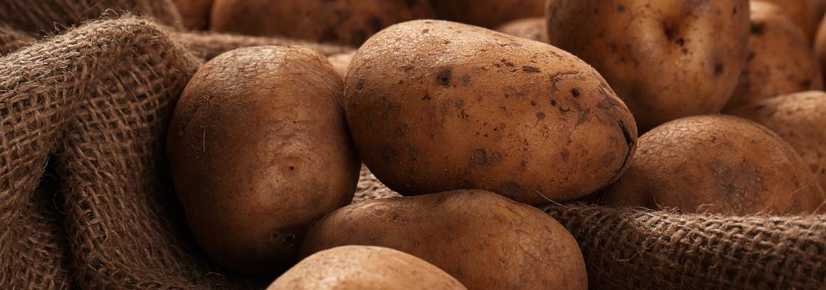 Les pommes de terre contiennent-elles des quantités élevées d'acides gras oméga-3 ?