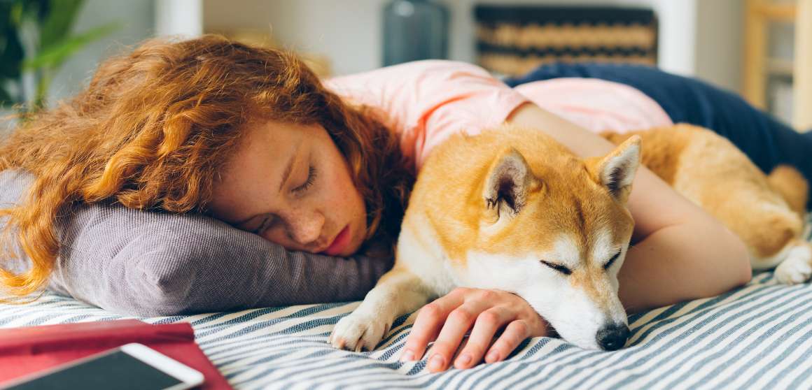 dormir avec des animaux