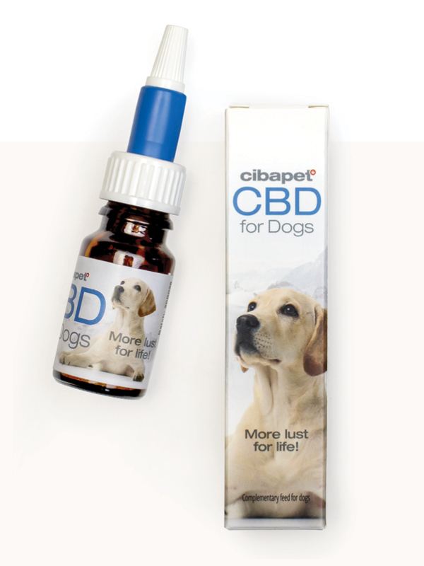 CBD pour Chiens