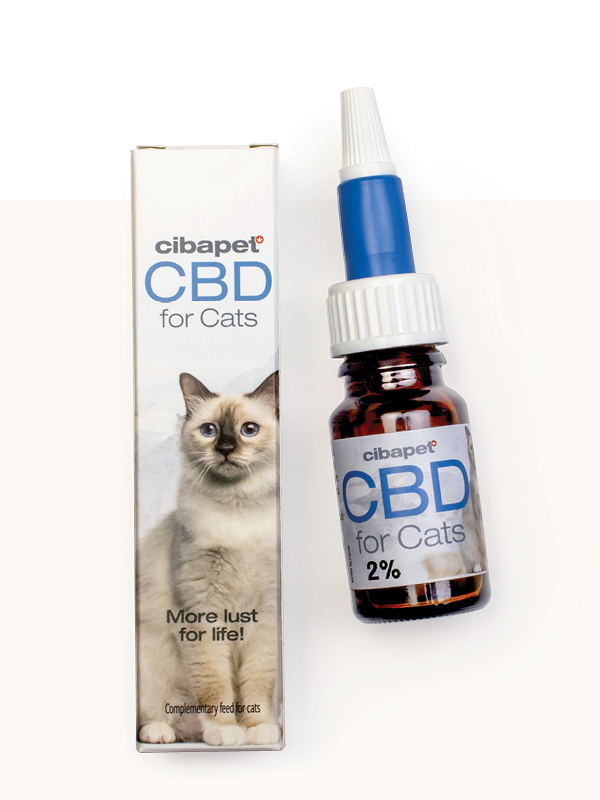 CBD pour Chats