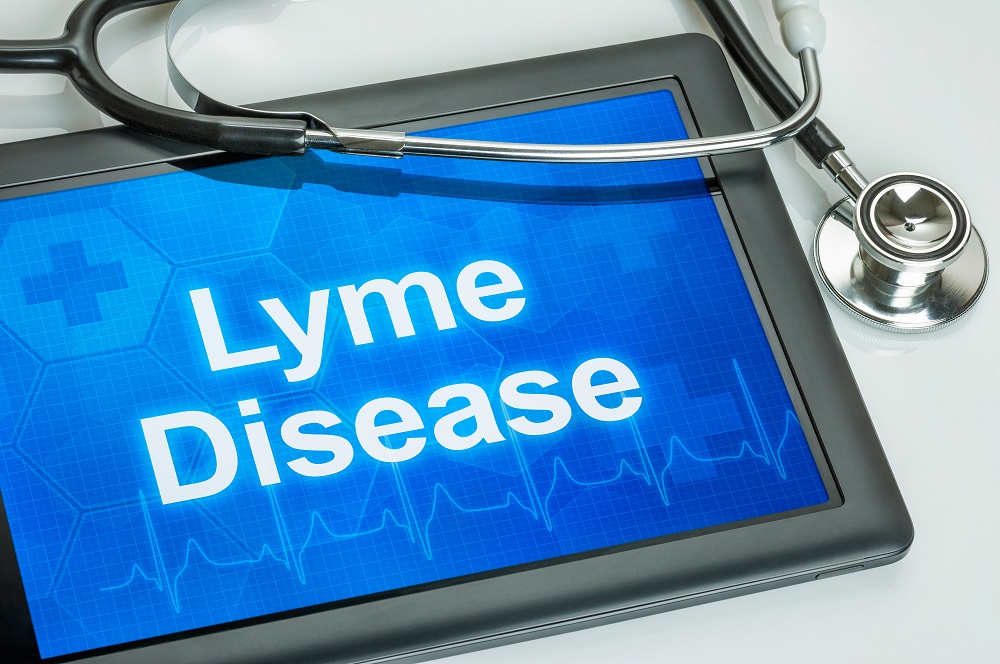 Le CBD Pourrait-il Aider Dans La Lutte Contre La Maladie De Lyme?