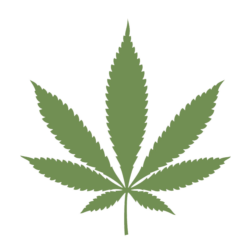 La Différence Entre Plants De Cannabis Mâles Et Femelles