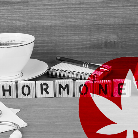 Le CBD affecte-t-il vos hormones ?