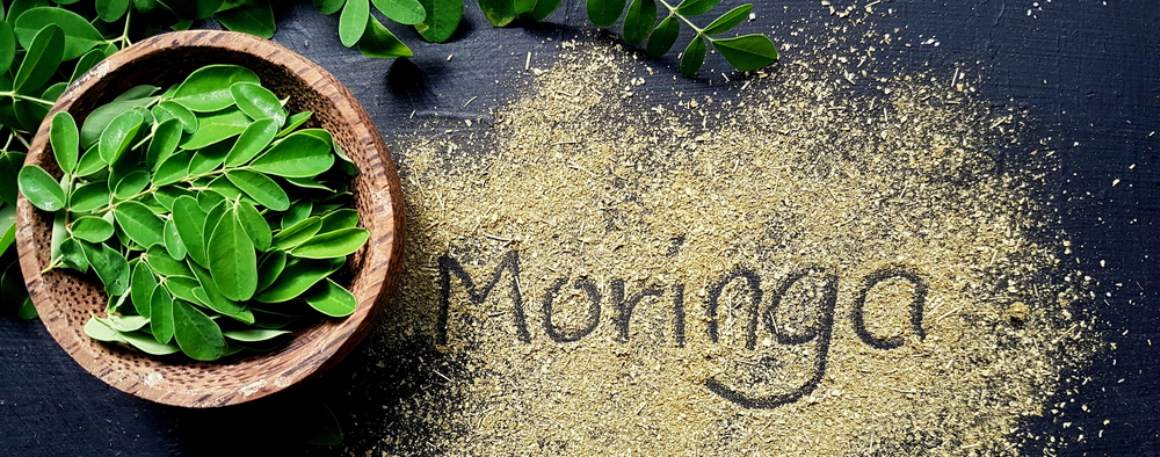 Moringa : Avantages pour la santé et conseils d'utilisation