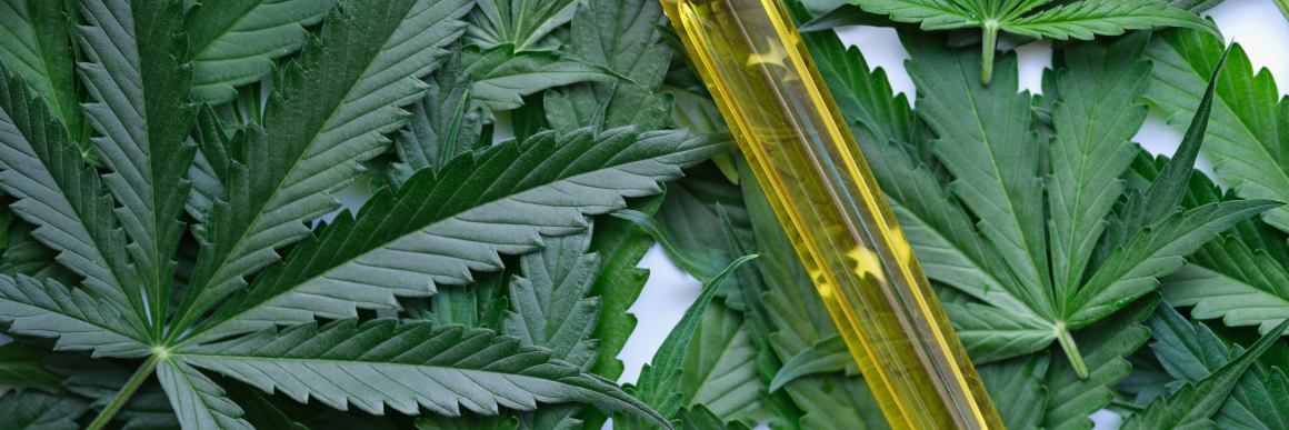 Célébrités et athlètes qui utilisent le CBD